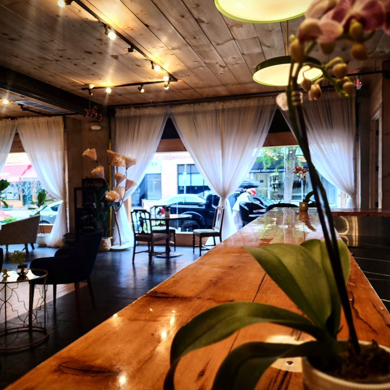 Instagram Feed Image